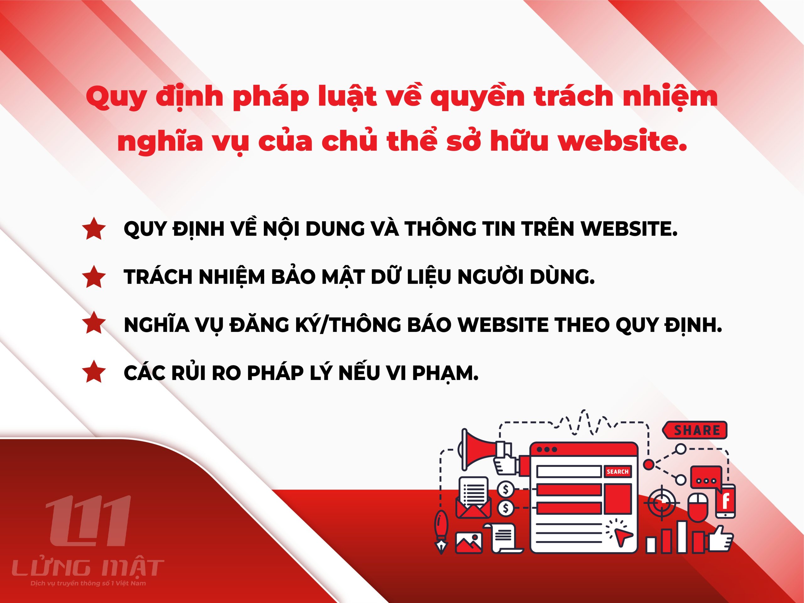Quy định pháp luật về quyền trách nhiệm nghĩa vụ của chủ thể sở hữu website